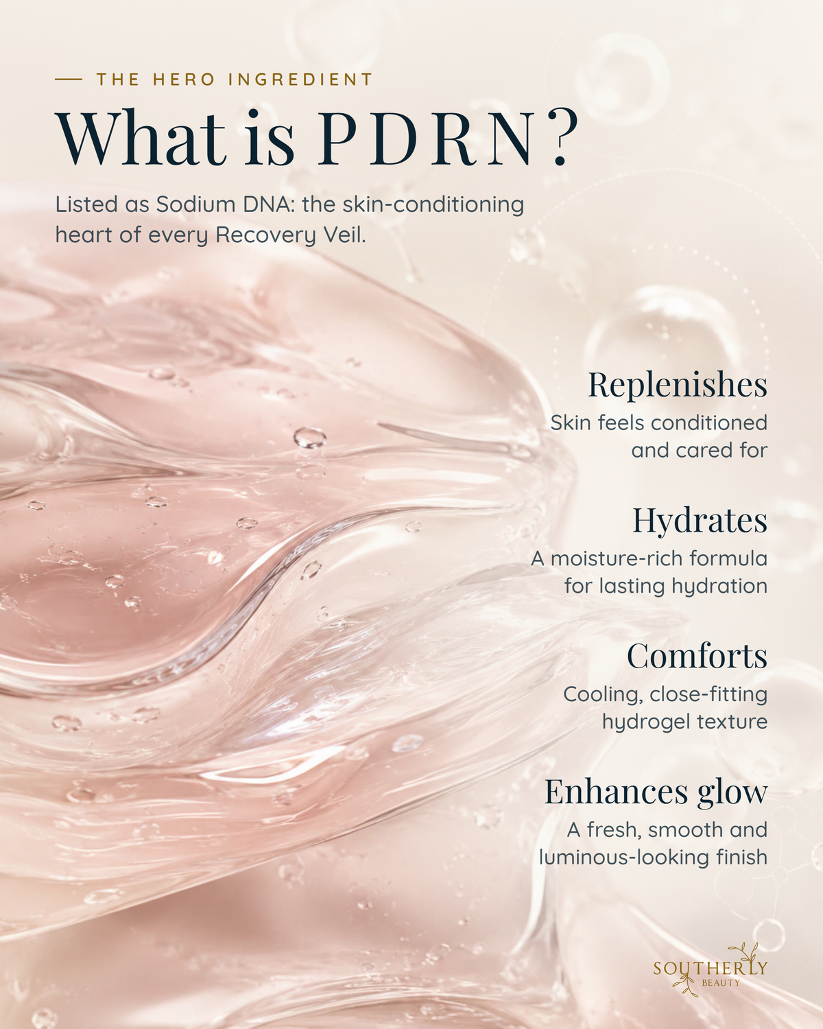 The Recovery Veil - Hydrogel PDRN Sheet Mask