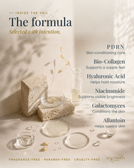 The Recovery Veil - Hydrogel PDRN Sheet Mask